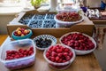 Ripe berries raspberries, blackberries, blueberries and red currants Royalty Free Stock Photo
