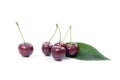 Ripe berries of red sweet cherry on white background Royalty Free Stock Photo