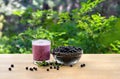 Ripe berries wild bilberries and smoothie with berries on wooden table on background of shrubs with ripe fruit wild bilberries in