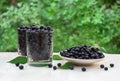 Ripe berries wild bilberries on wooden table on background of shrubs with ripe fruit wild bilberries in forest Royalty Free Stock Photo