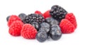 Ripe berry Royalty Free Stock Photo
