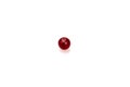 Ripe berry organic cranberry on a white background Royalty Free Stock Photo