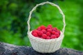 Ripe berry in wicker basket. Vintage basket with raspberries. Red raspberries. Royalty Free Stock Photo