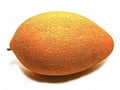 Ripe big melon on a white background. Royalty Free Stock Photo
