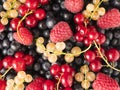 Ripe bilberries, blueberries, currants, and raspberries. Mixed berries and fruits. Background of fresh berries and fruits. Top vie Royalty Free Stock Photo