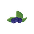 Ripe bilberries with green leaves icon