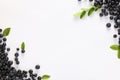 Ripe bilberries and sprig with leaves on white background, flat lay. Space for text Royalty Free Stock Photo