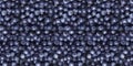 Ripe Bilberries. Whortleberries Seamless background pattern