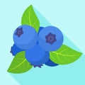 Ripe bilberry icon, flat style