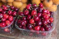 Ripe black cherries in plastic boxes sold at local market Royalty Free Stock Photo