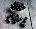 Ripe black currant Royalty Free Stock Photo