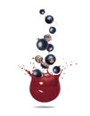 Ripe black currants falling in splashes of juice isolated on white background Royalty Free Stock Photo