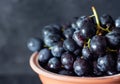 ripe black grapes