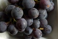 RIPE BLACK GRAPES IN A WHITE PORCELAIN BOWL