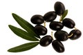 Ripe black olives on a branch isolated over white background Royalty Free Stock Photo