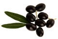 Ripe black olives on a branch isolated over white background Royalty Free Stock Photo