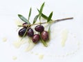 Ripe black olives isolated on white background Royalty Free Stock Photo