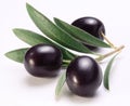 Ripe black olives with leaves.