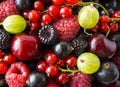 Ripe blackberries, blackcurrants, cherries, red currants, raspberries and gooseberries. Mix berries and fruits. Top view. Backgrou Royalty Free Stock Photo