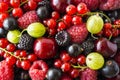 Ripe blackberries, blackcurrants, cherries, red currants, raspberries and gooseberries. Mix berries and fruits. Top view. Backgrou Royalty Free Stock Photo