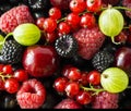 Ripe blackberries, blackcurrants, cherries, red currants, raspberries and gooseberries. Mix berries and fruits. Royalty Free Stock Photo