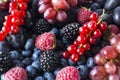 Ripe blackberries, blueberries, raspberries, red currants, grapes and plums on a white background. Mix berries and fruits. Top vie Royalty Free Stock Photo