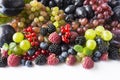 Ripe blackberries, blueberries, raspberries, red currants, grapes and plums on a white background. Mix berries and fruits. Top vie Royalty Free Stock Photo