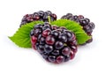 Ripe blackberries with green leaves isolated