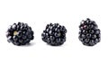 Ripe blackberries isolated on white background. Clipping path