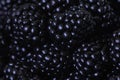 Ripe blackberries macro photography