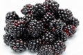 Ripe blackberries on a white plate. Useful forest fruits. Super food Royalty Free Stock Photo