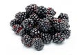 Ripe blackberries on a white plate. Useful forest fruits. Super food. Concept of healthy eating. top view. Close-up. Macro Royalty Free Stock Photo