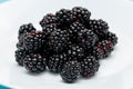 Ripe blackberries on a white plate. Useful forest fruits. Super food. Concept of healthy eating. top view. Close-up. Macro Royalty Free Stock Photo