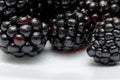 Ripe blackberries on a white plate. Useful forest fruits. Super food. Concept of healthy eating. top view. Close-up. Macro Royalty Free Stock Photo