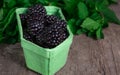 Ripe blackberry berries in a green paper basket with fresh mint leafs on a wooden table