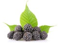 Ripe blackberry with green leaf Royalty Free Stock Photo