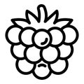 Ripe blackberry icon, outline style