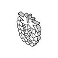 ripe blackberry isometric icon vector illustration