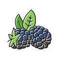 ripe blackberry leaf color icon vector illustration Royalty Free Stock Photo