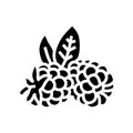 ripe blackberry leaf glyph icon vector illustration Royalty Free Stock Photo