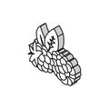 ripe blackberry leaf isometric icon vector illustration Royalty Free Stock Photo