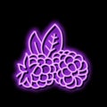 ripe blackberry leaf neon glow icon illustration Royalty Free Stock Photo