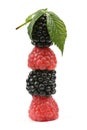 Ripe blackberry and raspberry Royalty Free Stock Photo