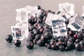 Ripe blackberry with small slices of ice