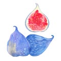 Ripe blue figs