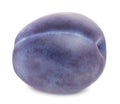 Ripe blue plum isolated Royalty Free Stock Photo