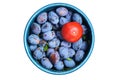Ripe blue plums and a tomato in a bucket isolated on a white background with a clipping path.