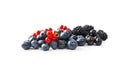 Ripe blueberries, currants and blackberries. Background of mix berries with copy space for text. Mix berries on white background. Royalty Free Stock Photo