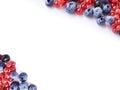 Ripe blueberries and currants on white. Berries at border of image with copy space for text. Red and blue berries. Various fresh s Royalty Free Stock Photo