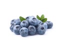 Ripe Blueberries with drops water Royalty Free Stock Photo